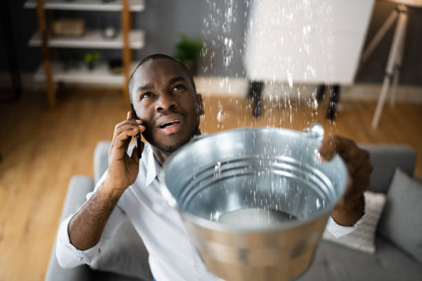 Best 24/7 water damage repair  in Loxahatchee Groves, FL