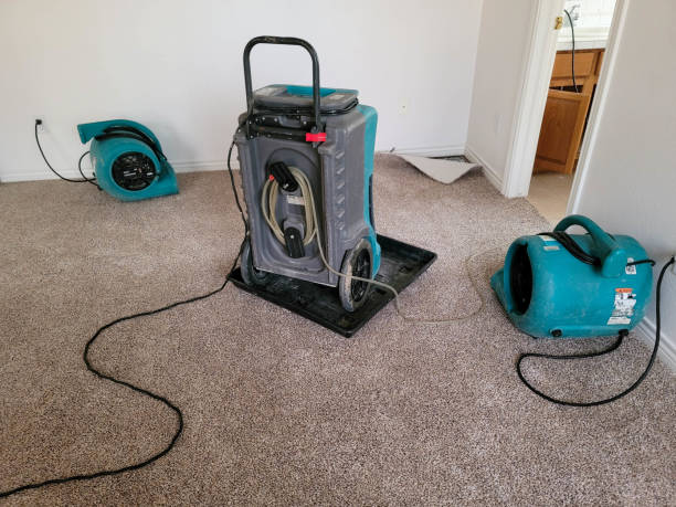  Loxahatchee Groves, FL Water damage restoration Pros