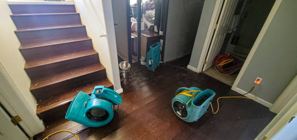 24/7 water damage repair in Loxahatchee Groves, FL