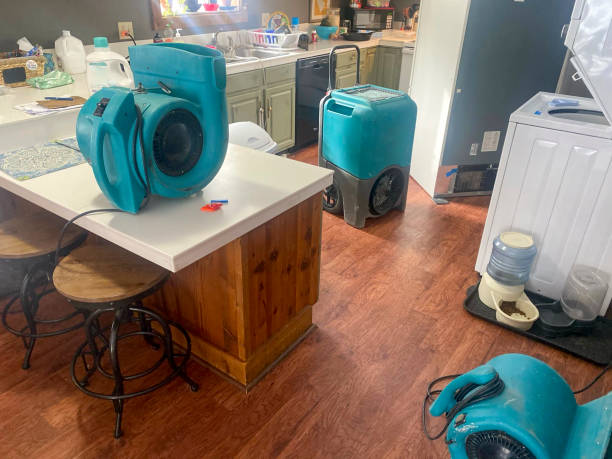 Water damage restoration insurance claims in Loxahatchee Groves, FL