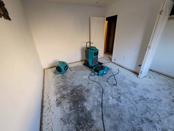 Best Water damage contractors near me  in Loxahatchee Groves, FL