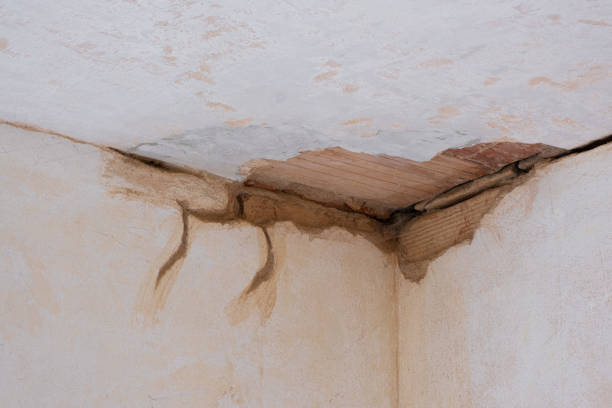 Best Sewage cleanup and water damage restoration  in Loxahatchee Groves, FL