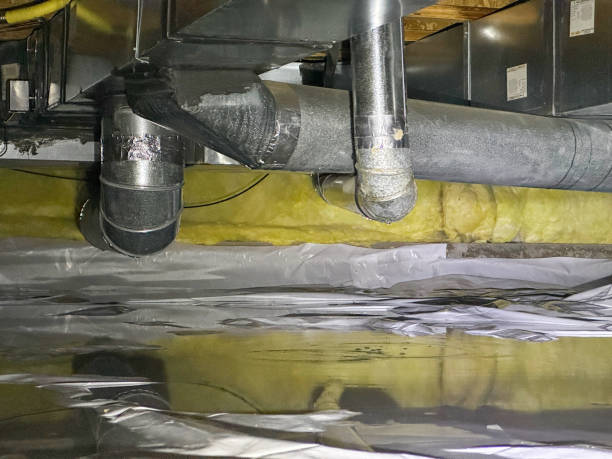 Best Mold removal after water damage  in Loxahatchee Groves, FL