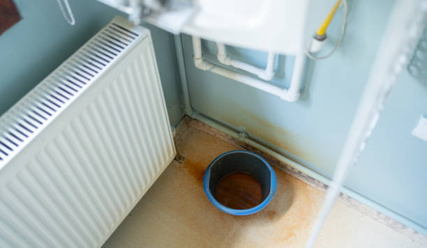 Best Flood restoration services  in Loxahatchee Groves, FL