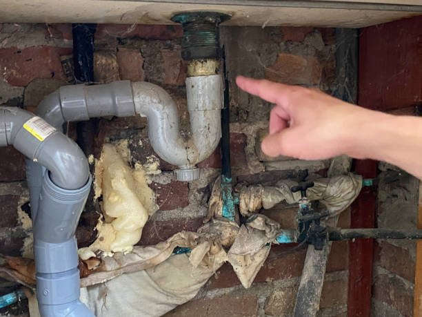 Best Professional water damage repair  in Loxahatchee Groves, FL