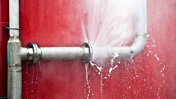 Best Carpet water damage restoration  in Loxahatchee Groves, FL